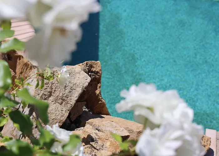 Jenny, Ξενοδοχείο